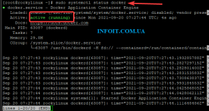 Как установить и использовать Docker в Rocky Linux 8 2