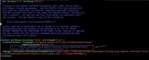 Как установить Apache Tomcat 10 на Debian 10 (Buster) 0