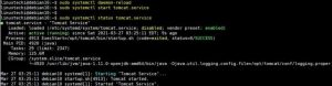 Как установить Apache Tomcat 10 на Debian 10 (Buster) 0