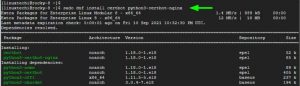 Как установить Let's Encrypt SSL для NGINX на Rocky Linux 8 6
