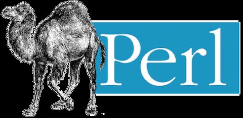 Как установить Perl в Ubuntu 20.04 LTS