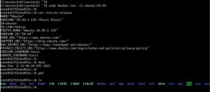 Как установить и использовать Docker в Arch Linux