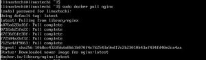 Как установить и использовать Docker в Arch Linux