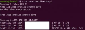 Как безопасно передавать файлы между системами Ubuntu с помощью Croc