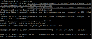 Как установить TeamSpeak Server на Ubuntu 20.04