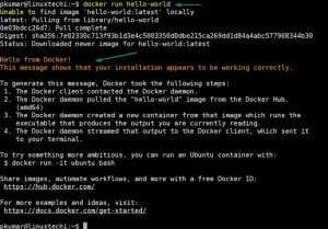 Как установить и использовать Docker в Ubuntu 20.04