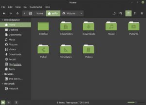 Как найти файлы и каталоги в Linux Mint 20