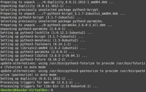 Как установить Duplicity на Linux Mint 20