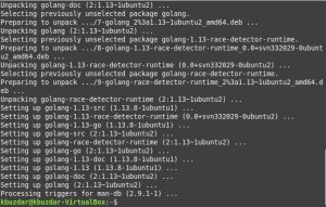 Как установить Go на Linux Mint 20