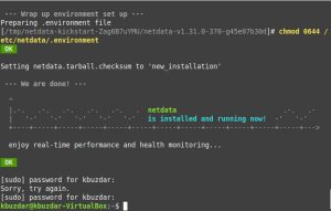 Как установить Netdata на Linux Mint 20