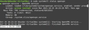 Как установить OpenVPN на Linux Mint 20