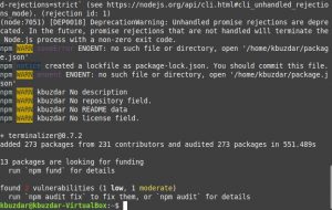 Как установить Terminalizer в Linux