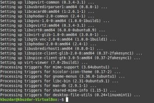 Как установить Virt-Viewer на Linux Mint 20